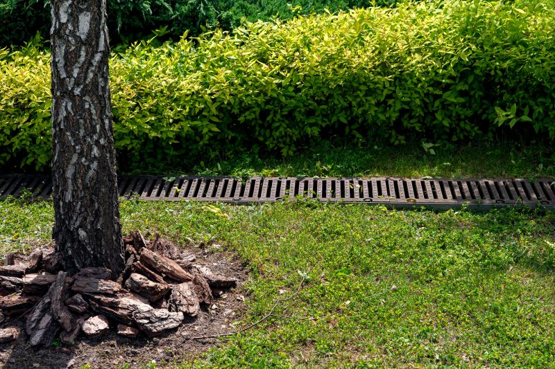 Landscaping Drainage Installation in Birmingham, AL