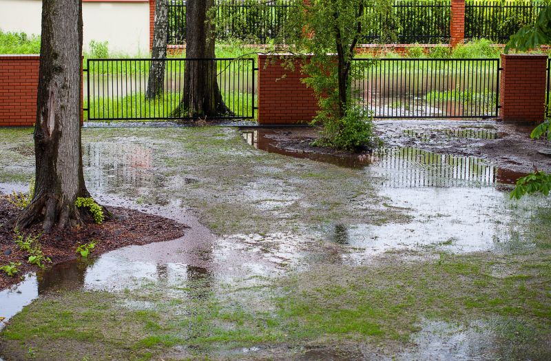 Wet Yard Drainage in Tuscaloosa, AL